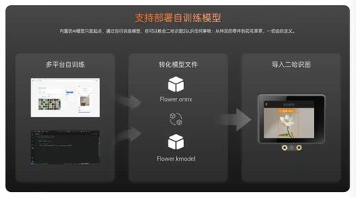 蘑菇云榮膺教育強(qiáng)國(guó)論壇2025年度科技創(chuàng)新教育品牌，以創(chuàng)新產(chǎn)品賦能人工智能通識(shí)教育與應(yīng)用軟件開發(fā)